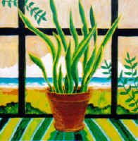 snake_plant.jpg (56088 bytes)